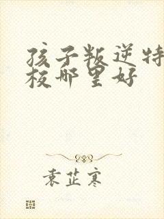 孩子叛逆特训学校哪里好