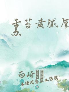 舌苔黄腻厚怎么办