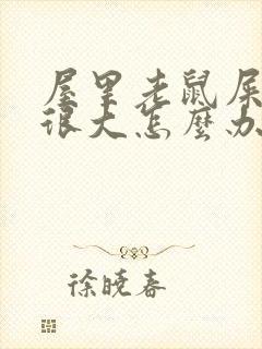 屋里老鼠屎尿味很大怎么办