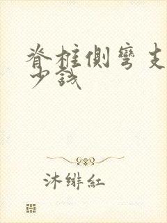 脊椎侧弯支具多少钱