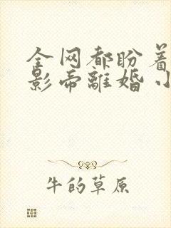 全网都盼着我和影帝离婚 小说