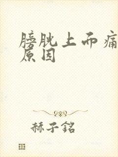 膀胱上面痛什么原因