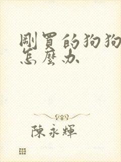 刚买的狗狗拉稀怎么办