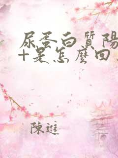 尿蛋白质阳性1+是怎么回事