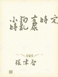 小狗有时定点有时乱尿