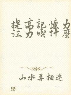 提高记忆力和专注力吃什么好