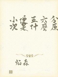 小便五六分钟一次是什么原因