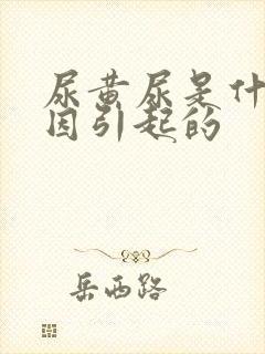 尿黄尿是什么原因引起的