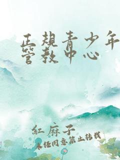 正规青少年叛逆管教中心