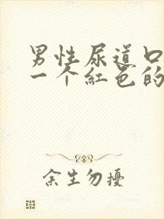 男性尿道口长了一个红色的疙瘩