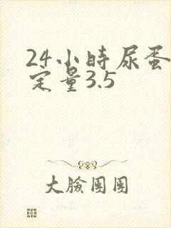 24小时尿蛋白定量3.5