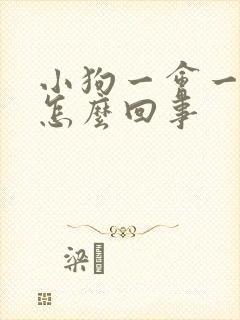 小狗一会一尿是怎么回事