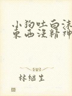 小狗吐白沫不吃东西没精神吃什么药