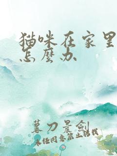 猫咪在家里乱尿怎么办