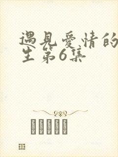 遇见爱情的利先生第6集