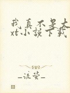 我真不是大佬txt小说下载