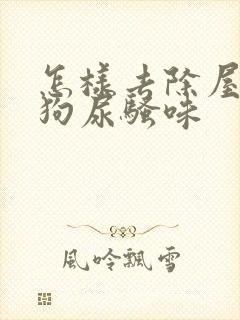 怎样去除屋里的狗尿骚味