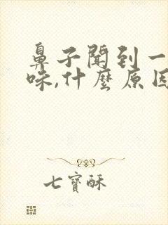 鼻子闻到一股怪味,什么原因引起