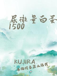 尿微量白蛋白高1500