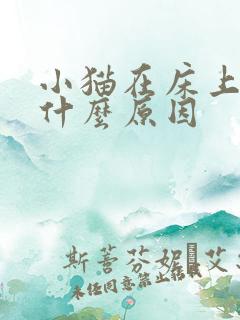 小猫在床上拉尿什么原因