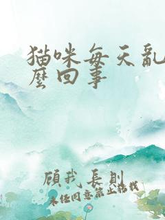 猫咪每天乱尿怎么回事