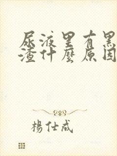 尿液里有黑色渣渣什么原因