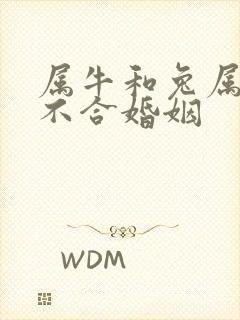 属牛和兔属相合不合婚姻