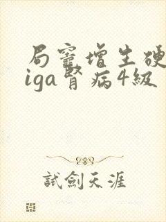 局灶增生硬化型iga肾病4级