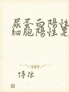 尿蛋白阳性尿白细胞阳性是什么意思