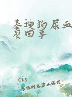 泰迪狗尿血是怎么回事