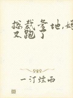 总裁爹地,妈咪又跑了