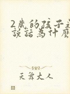 2岁的孩子还不说话为什么