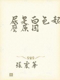 尿是白色起泡什么原因