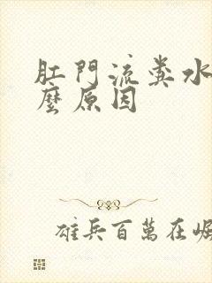 肛门流粪水是什么原因