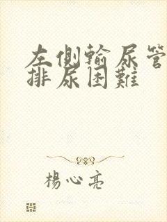 左侧输尿管结石排尿困难