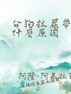 公狗拉尿带血是什么原因