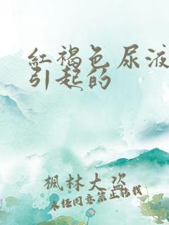 红褐色尿液原因引起的