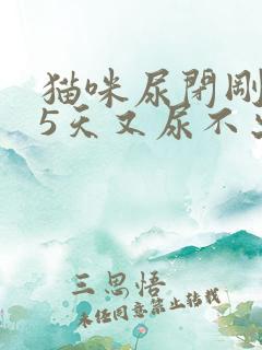 猫咪尿闭刚治好5天又尿不出来了