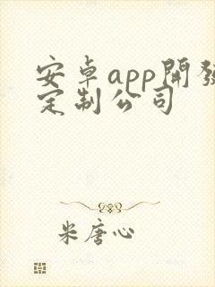 安卓app开发定制公司