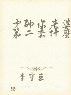 少帅你老婆跑了第二季什么时候出