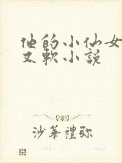 他的小仙女又甜又软小说