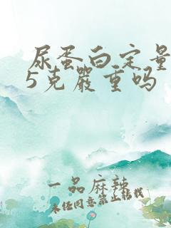 尿蛋白定量2.5克严重吗