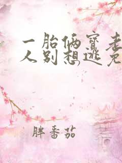 一胎俩宝老婆大人别想逃免费阅读