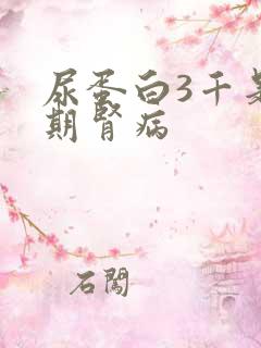 尿蛋白3千是几期肾病