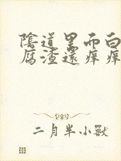 阴道里面白色豆腐渣还痒痒