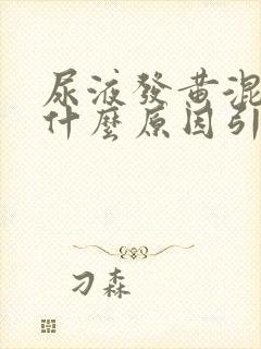 尿液发黄混浊是什么原因引起的