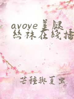 avove美腿丝袜在线播放