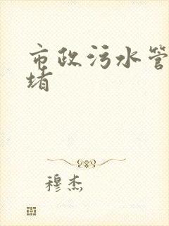 市政污水管道封堵