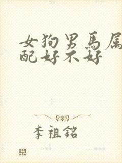 女狗男马属相婚配好不好