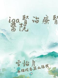 iga肾治疗肾医院